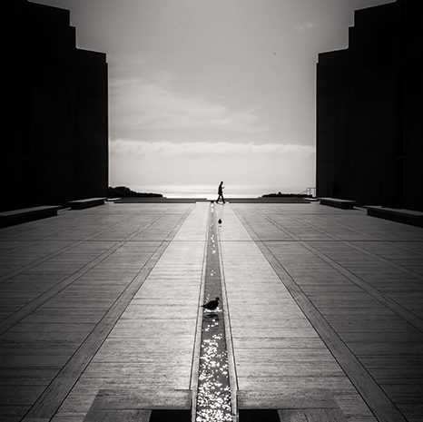 parsa-khaksar-los-angeles